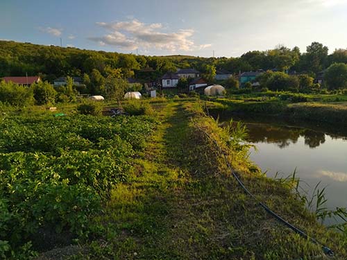 усадьба в Борщёво